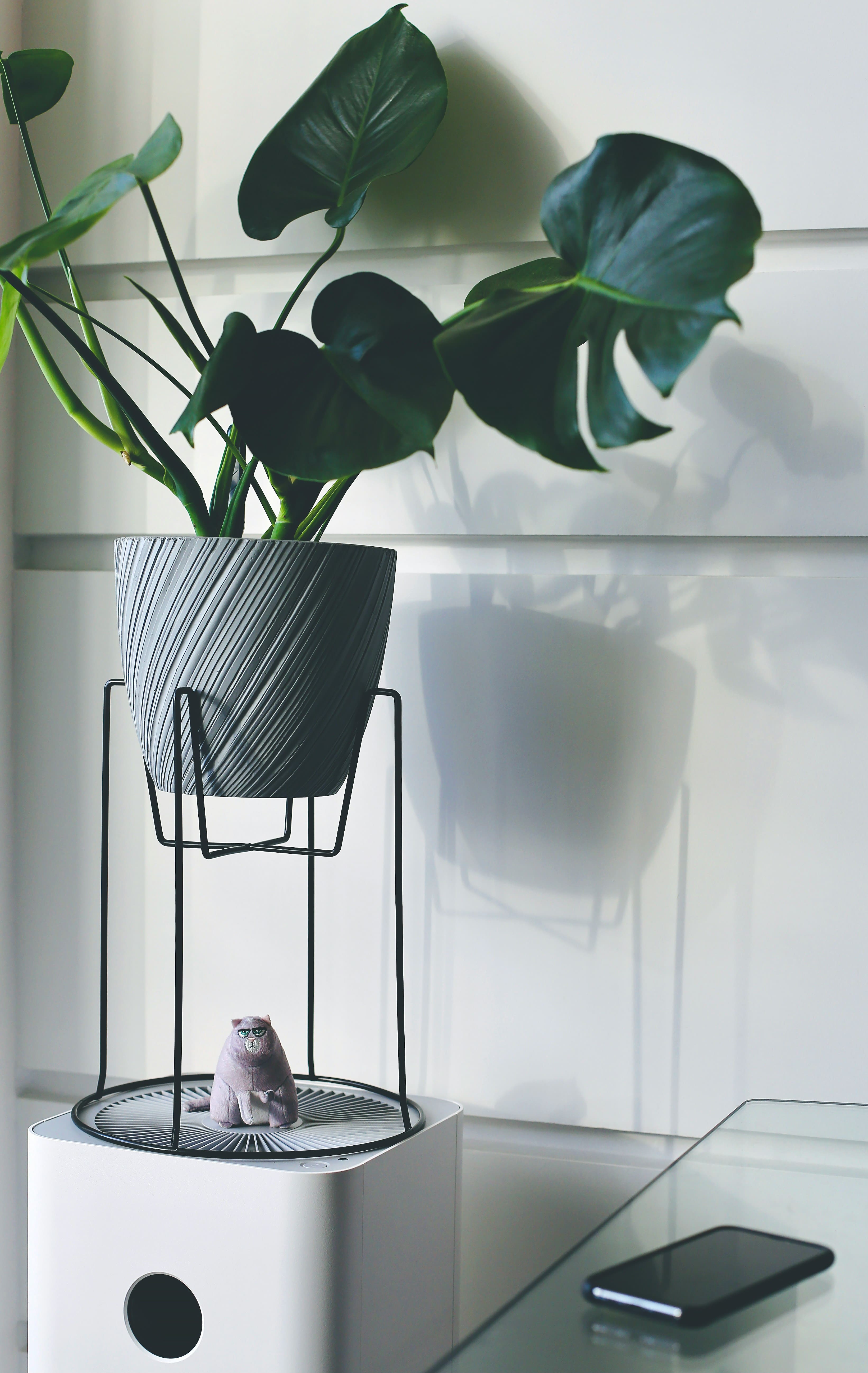 夏日居家佈置提案 × IG抽獎開跑圖片